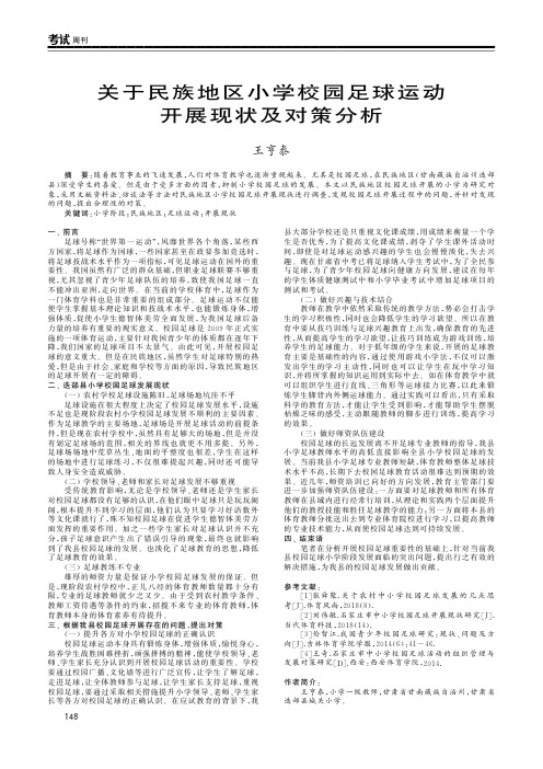 关于民族地区小学校园足球运动开展现状及对策分析