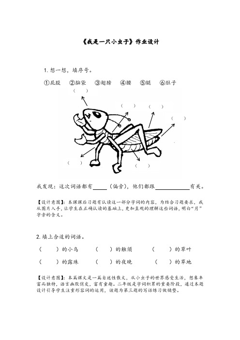 《我是一只小虫子》作业设计