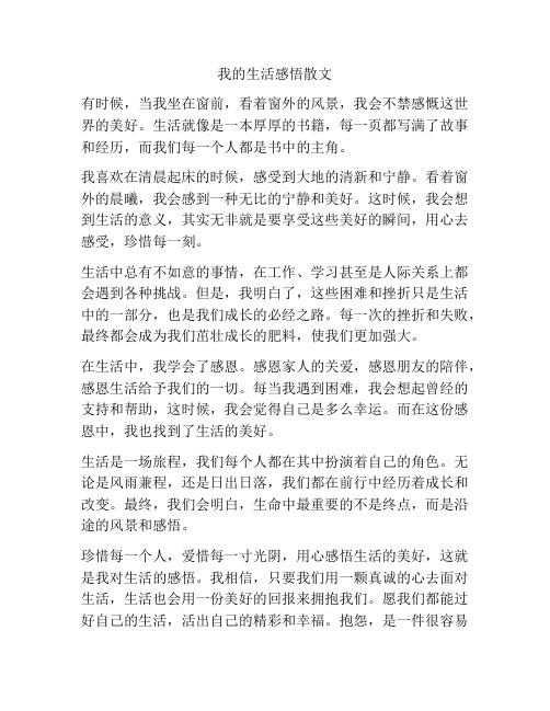 我的生活感悟散文