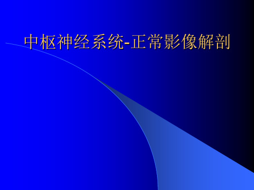 医学影像学 中枢神经系统正常影像解剖