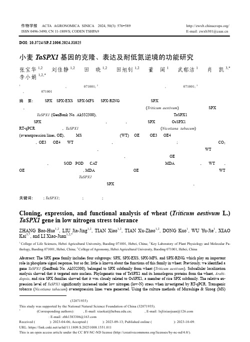 小麦TaSPX1_基因的克隆、表达及耐低氮逆境的功能研究