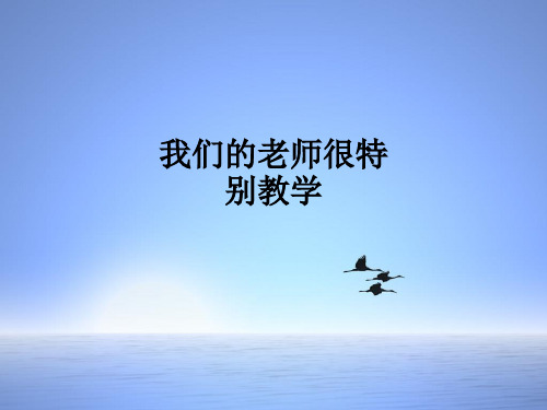 我们的老师很特别ppt课件