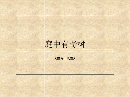 《庭中有奇树》《龟虽寿》《赠从弟》《梁甫行》复习课程