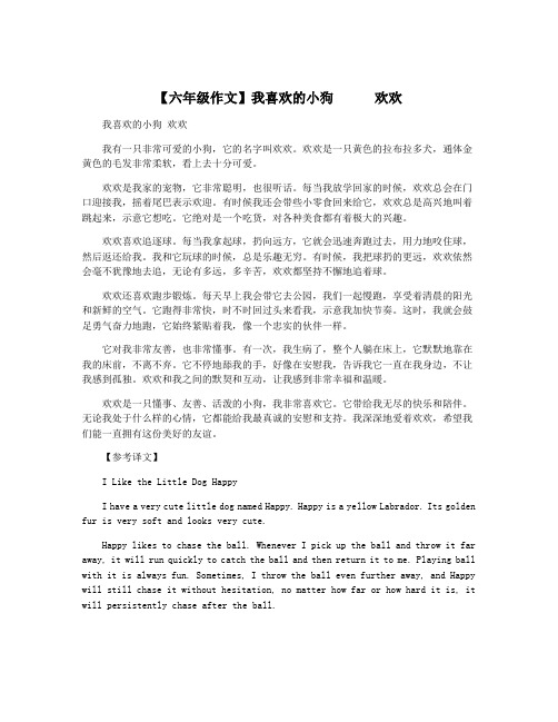 【六年级作文】我喜欢的小狗      欢欢