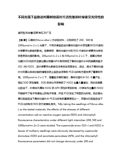 不同光强下盐胁迫对桑树幼苗叶片活性氧和叶绿素荧光特性的影响