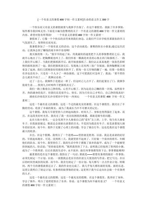 [一个有意义的暑假600字初一作文素材]生命的意义作文800字