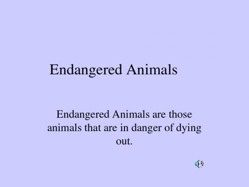 Endangered Animals