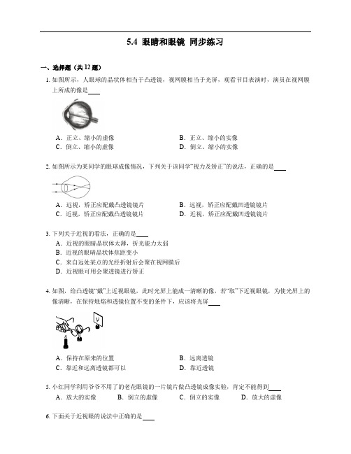 5.4 眼睛和眼镜 同步练习