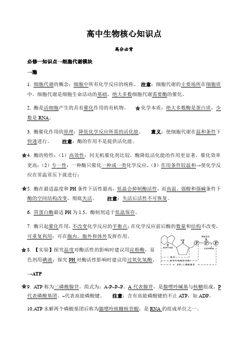 【高分必背】高中生物必修一：酶、ATP、细胞呼吸和光合作用