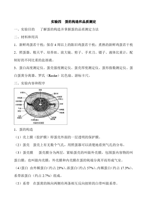 实验四  蛋的构造和品质测定