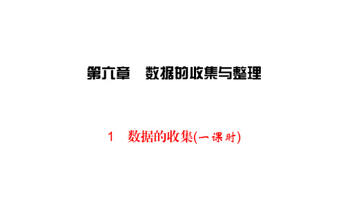 北师大版七年级上册数学练习课件-第6章 数据的收集与整理 1数据的搜集