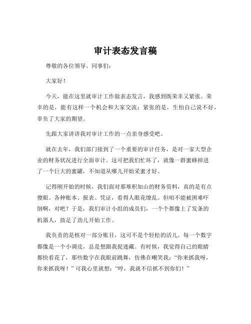 审计表态发言稿