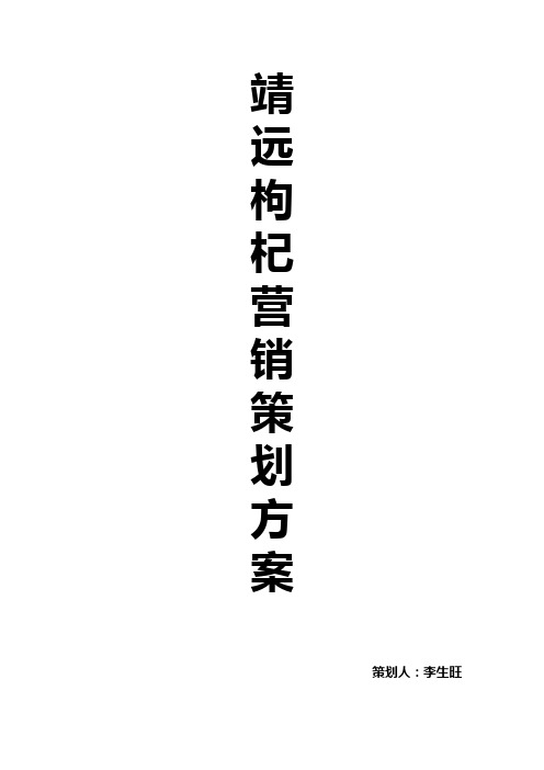 靖远枸杞市场营销策划方案