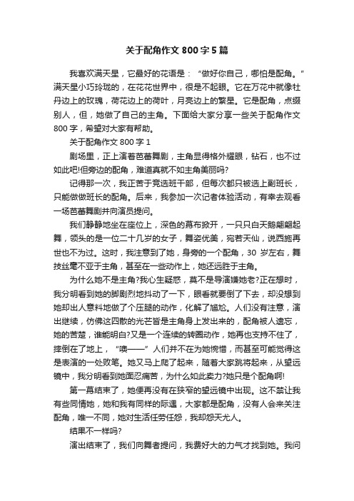 关于配角作文800字5篇