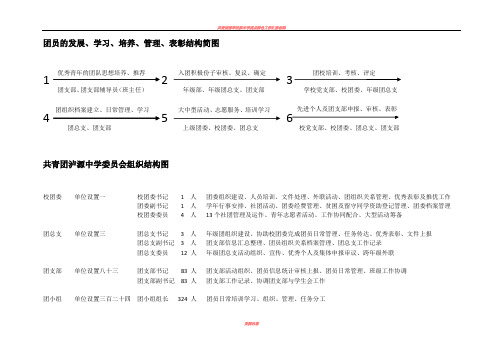 中学团组织结构图