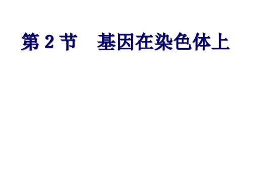 基因在染色体上公开课一等奖课件省赛课获奖课件