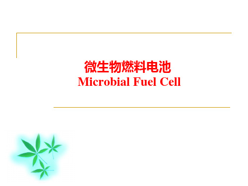 微生物燃料电池 (1)