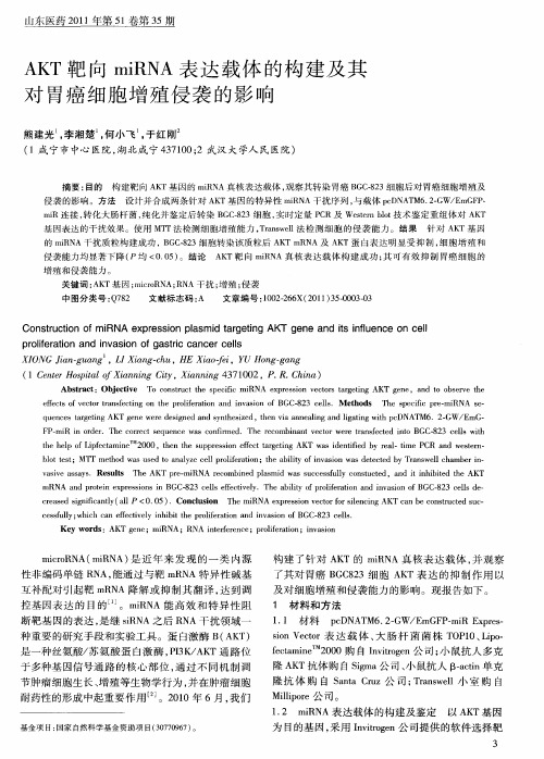 AKT靶向miRNA表达载体的构建及其对胃癌细胞增殖侵袭的影响