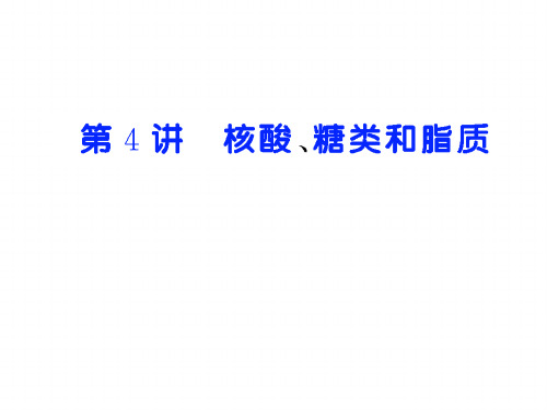 2-3.4遗传信息的携带者——核酸  全知识点