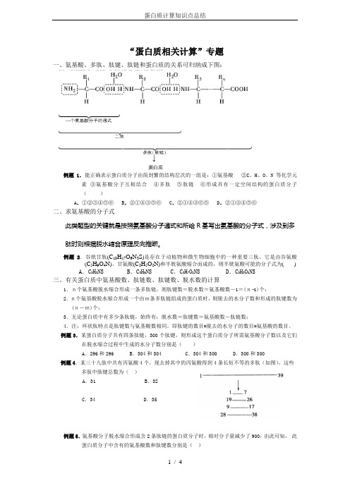 蛋白质计算知识点总结