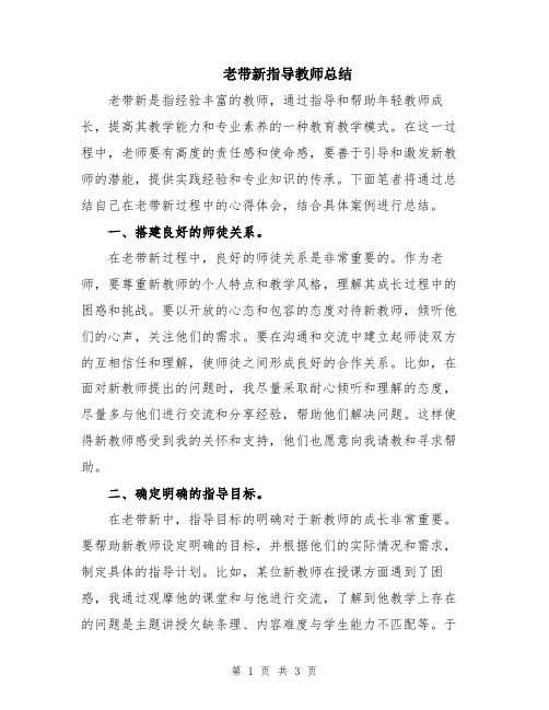 老带新指导教师总结