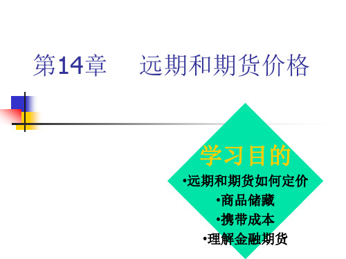 金融课件第14章  远期和期货价格new