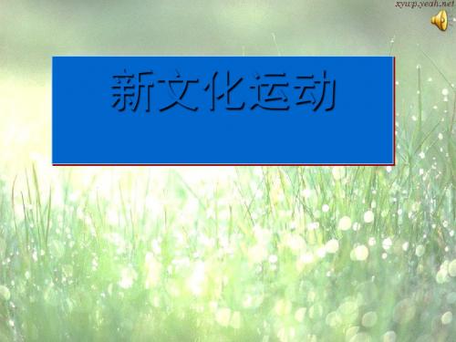 新文化运动 PPT课件 5 人民版