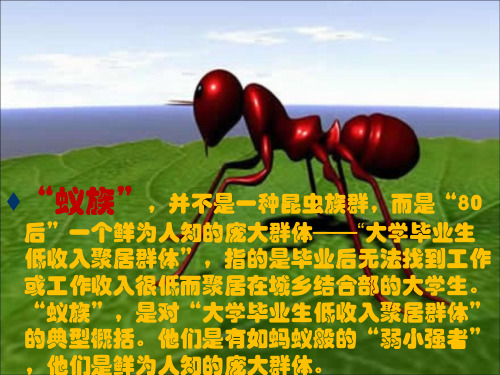 蚁族之歌ppt精品文档16页