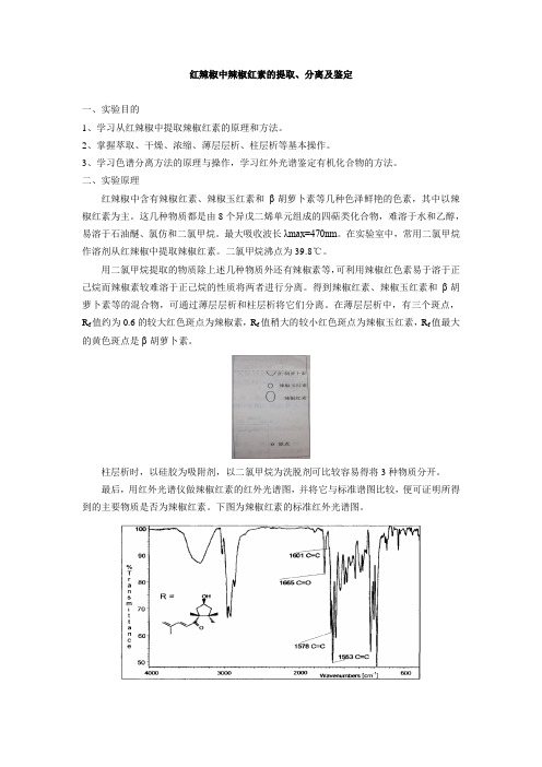 辣椒红素的提取、分离及鉴定