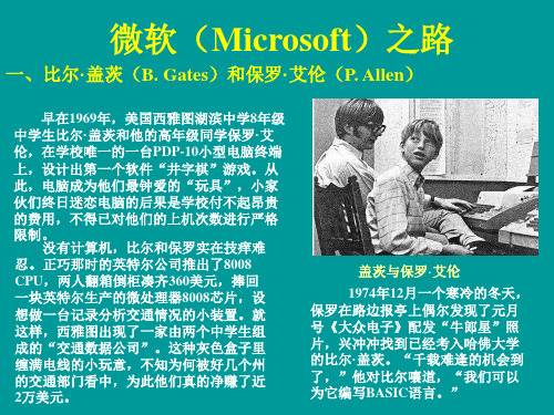 微软(Microsoft)2010