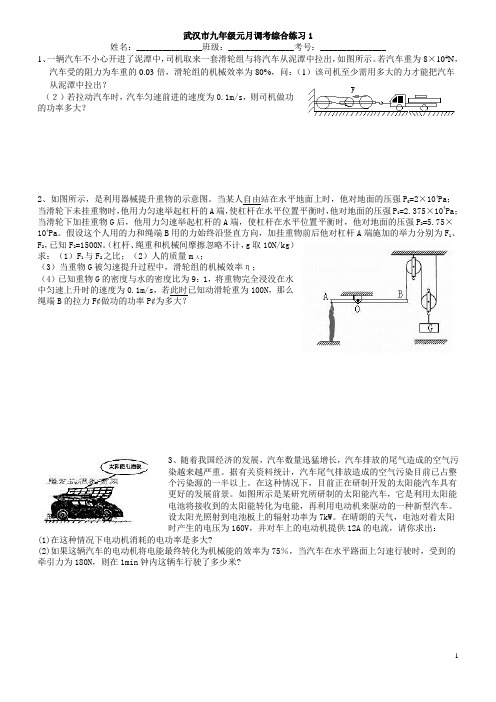 武汉市九年级元月调考综合练习