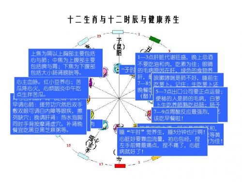 十二生肖与时辰健康养生幻灯片1