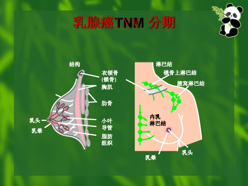 乳腺癌TNM 分期 ppt课件