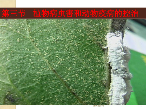 植物病虫草害的综合防治ppt课件