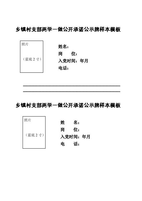 村支部党支部两学一做学习教育公开承诺公示模板