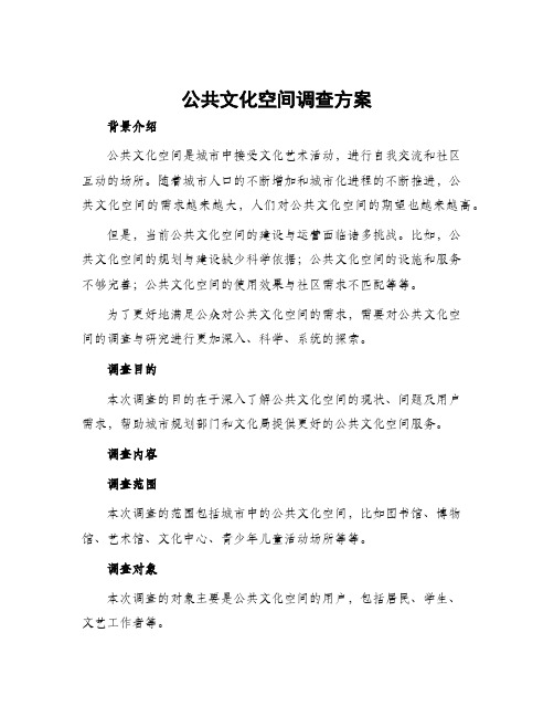 公共文化空间调查方案