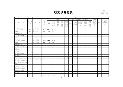 收支预算总表