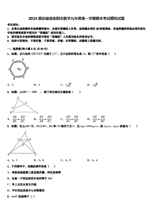 2024届安徽省阜阳市数学九年级第一学期期末考试模拟试题含解析