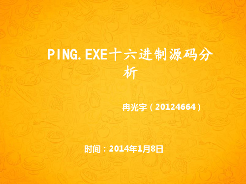 ping.exe十六进制源码分析