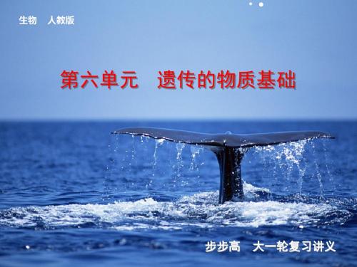 2019高考生物一轮复习第六单元遗传的物质基础第18讲DNA是主要的遗传物质