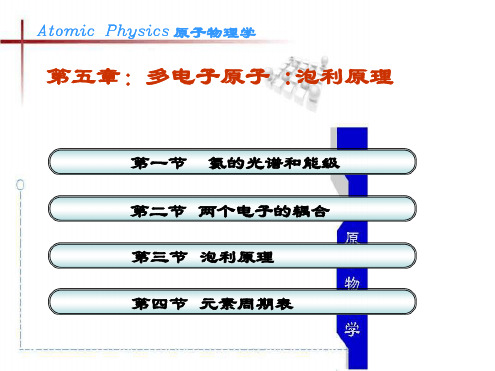 第五章多电子原子泡利原理2013 4 27