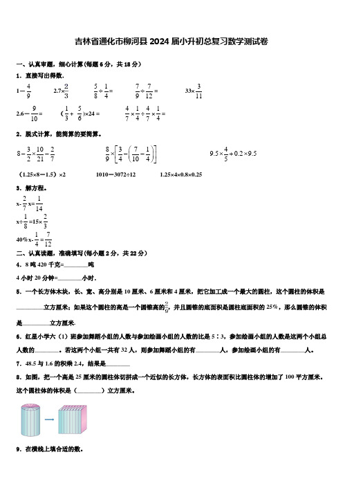 吉林省通化市柳河县2024届小升初总复习数学测试卷含解析