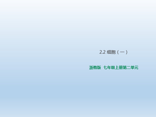 浙教版七年级上册科学2.2 细胞(一)课件