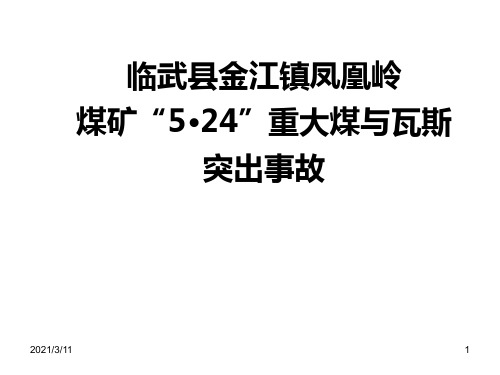 郴州市临武县金江镇凤凰岭煤矿“5·24