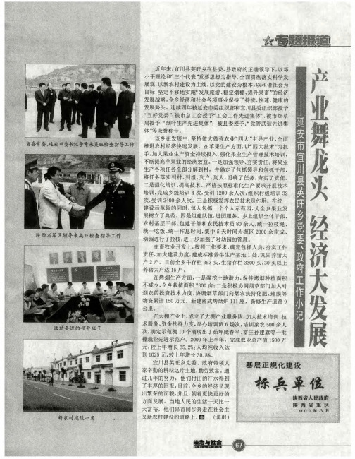 产业舞龙头 经济大发展——延安市宜川县英旺乡党委、政府工作小记