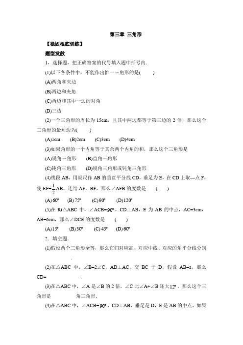 2022年初中数学《三角形》单元综合练习