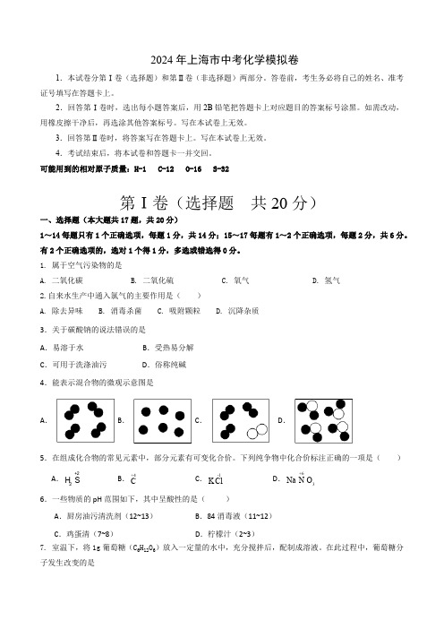 2024年上海市中考化学模拟卷(无答案)