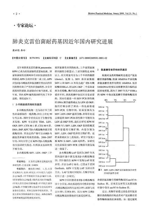 肺炎克雷伯菌耐药基因近年国内研究进展