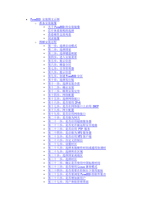 freebsd安装 图解