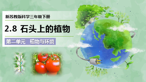 2024新苏教版科学三年级下册第二单元 植物与环境《石头上的植物》优质课件